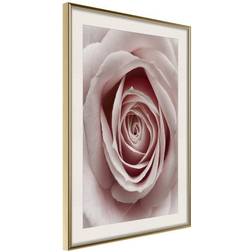 Arkiio Affisch Pastel Rose [Poster] 40x60 Poster